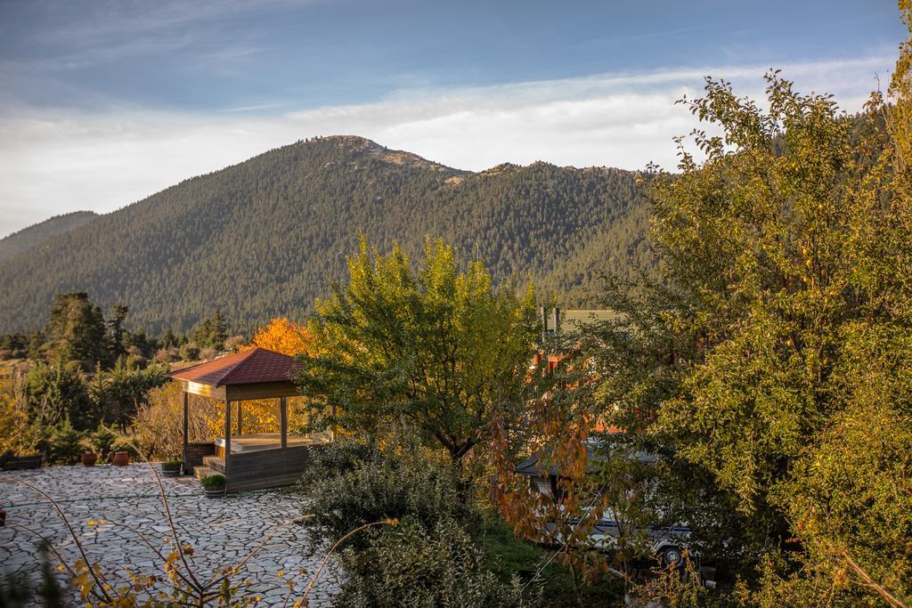 Boutique Hotel Skamnos Arachova Exterior photo