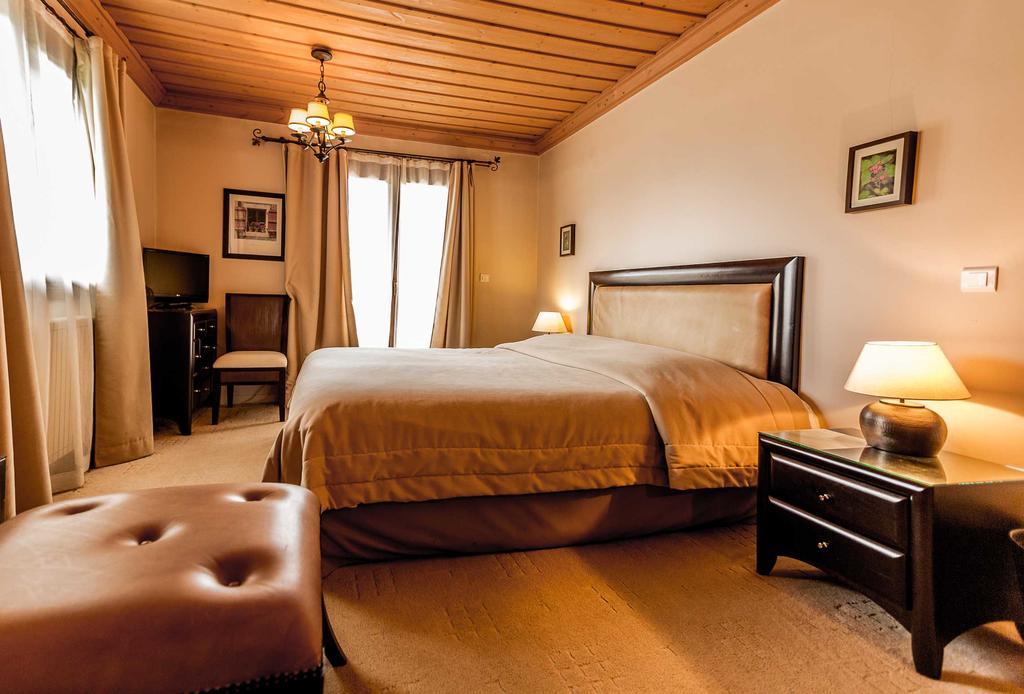 Boutique Hotel Skamnos Arachova Exterior photo
